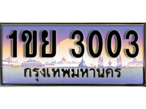L8.ทะเบียนรถ 3003 ทะเบียนประมูล - 1ขย 3003 จากกรมขนส่ง