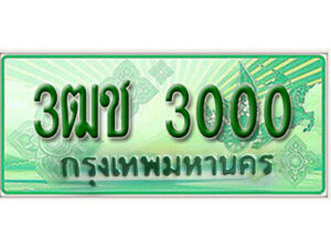 2. เลขทะเบียน 3000 รถกระบะ 2 ประตู – 3ฒช 3000 ป้ายเขียวเลขประมูล