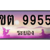 2.ทะเบียนสวยจังหวัดระยอง ขต 9955 เลขประมูล ทะเบียนรถใกล้ฉัน