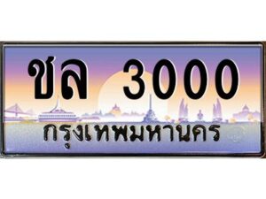 1.ทะเบียนรถ 3000 เลขประมูล ทะเบียนสวย ชล 3000