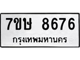 8676.jpg