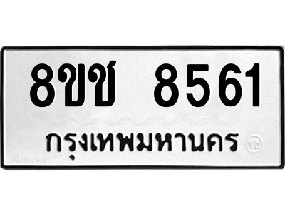 8561.png